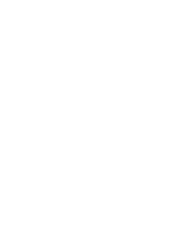 وليد المصري — Branding & Marketing Expert